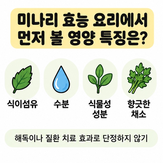 미나리의 식이섬유, 향, 조리 특징을 간단히 정리한 그림