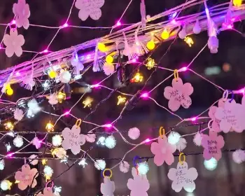 안동 벚꽃축제_13