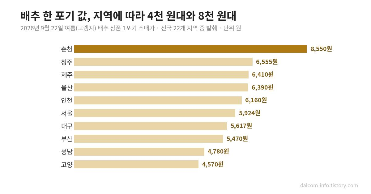 지역별 배추 한 포기