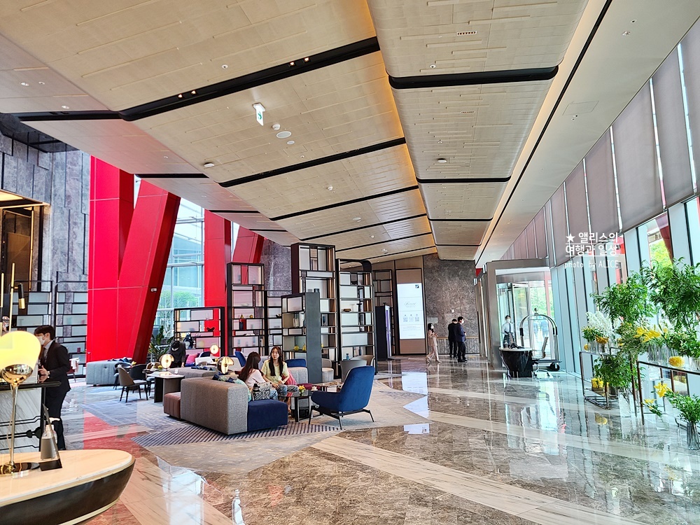 이상한 변호사 우영우 드라마 촬영지 (팽나무, 웨딩, 낙조, 제주도) 제주 돌고래 출몰지역 스팟