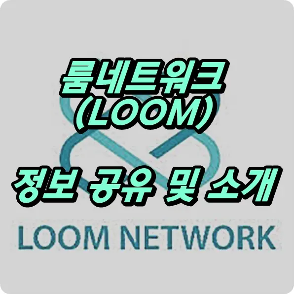 룸네트워크 코인 전망