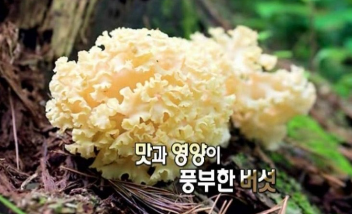 전립선암음식 
