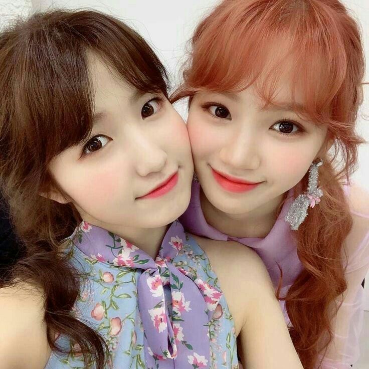 아이즈원 프로듀스48 사진 모음 아이즈원 프로듀스48 사진 모음