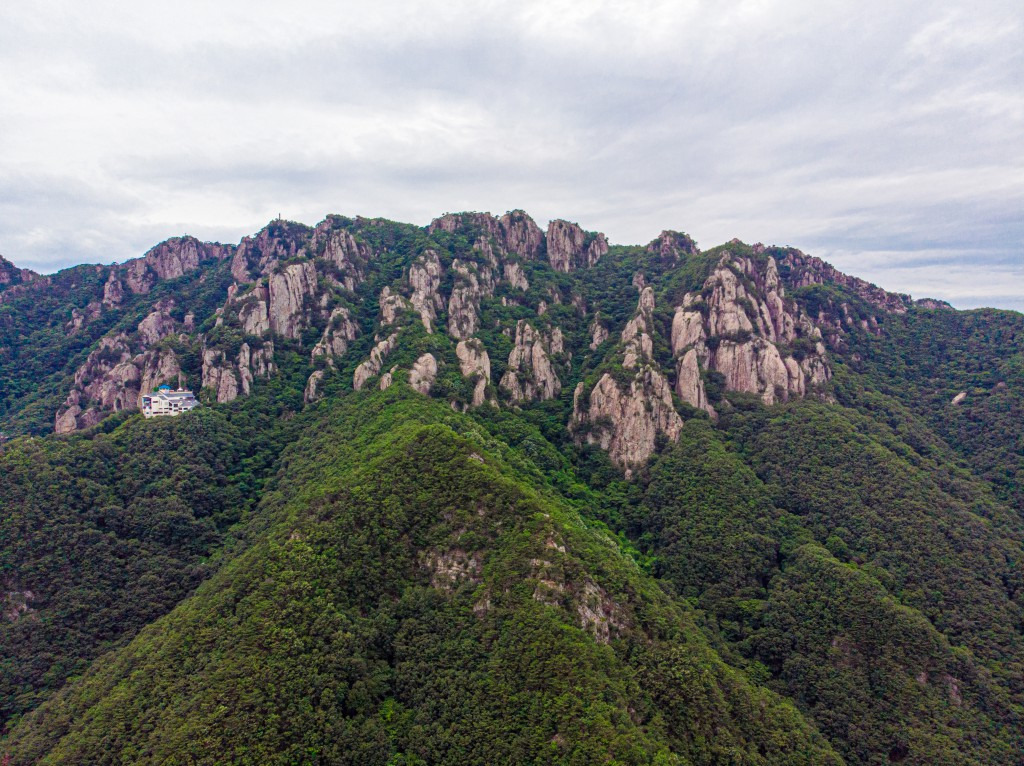 대둔산 야생화 봄꽃 산행🌸 대둔산 봄 등산코스 총정리