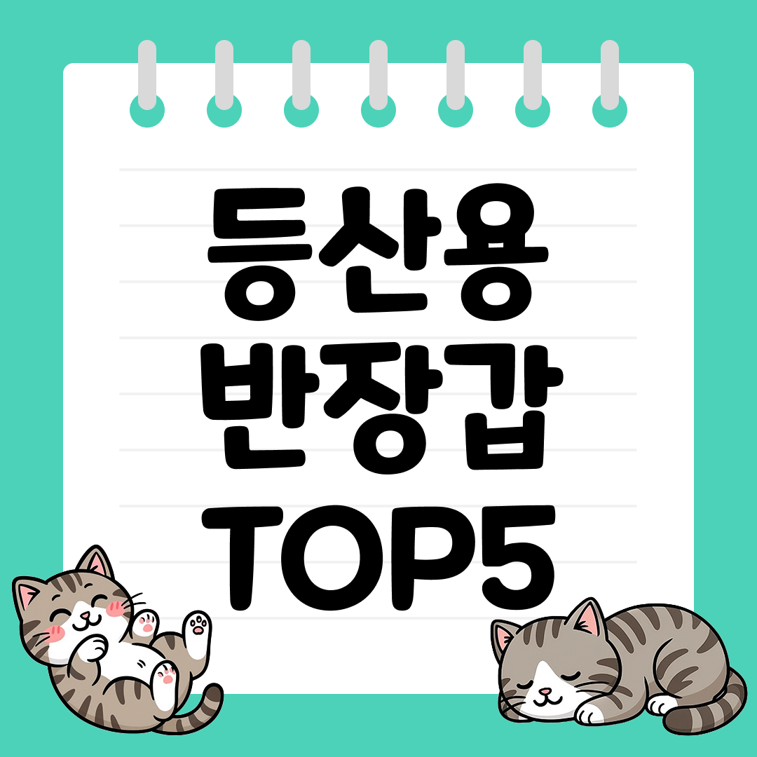 25년 9월 2주차 등산용 반장갑 추천 순위 TOP5