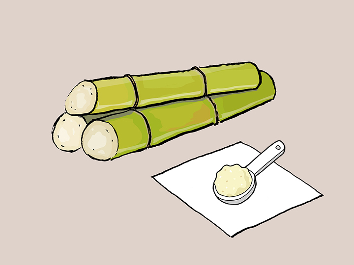 폴리코사놀-한스푼