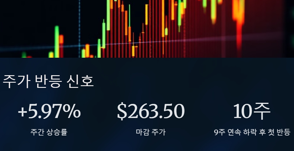테슬라 주가, 드디어 반등! 상승률 +5.97%