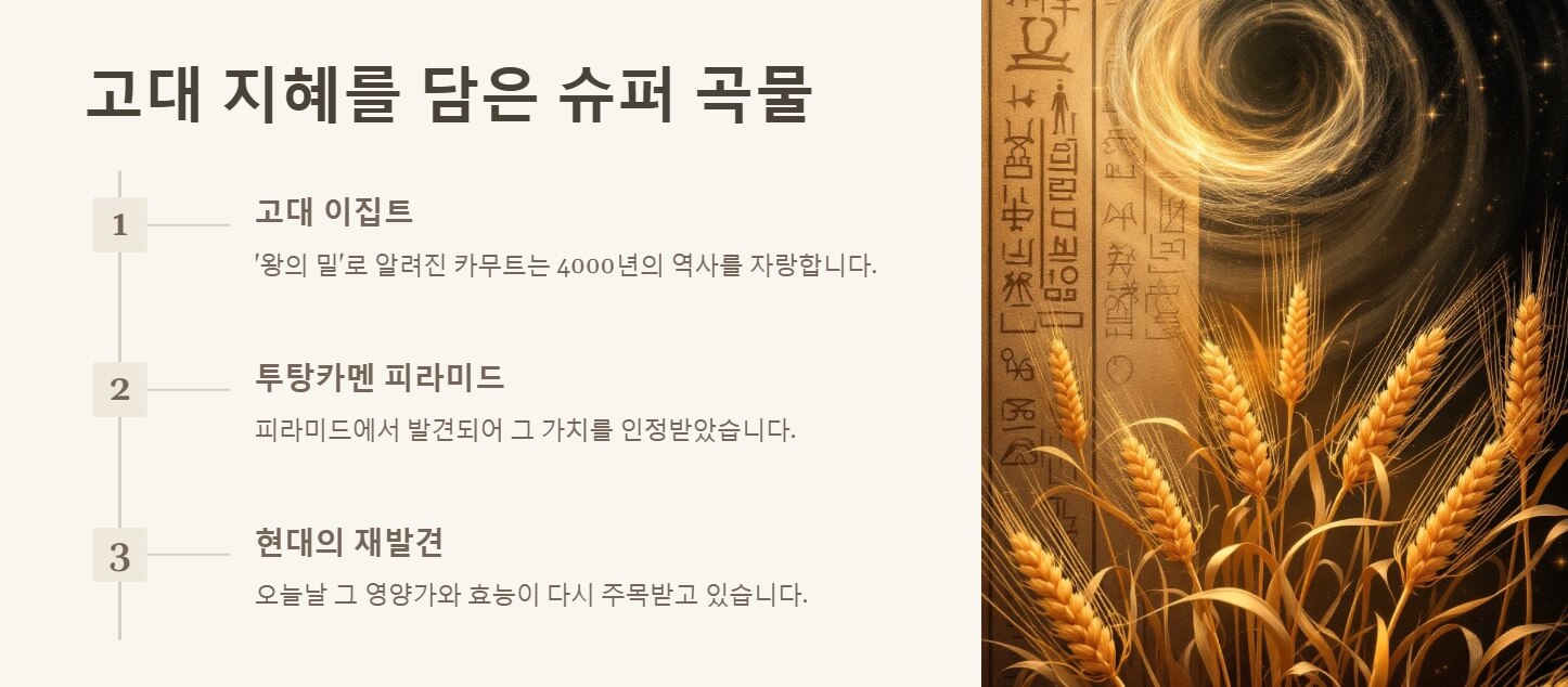 카무트 효소 효능 먹는법
