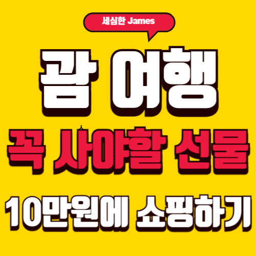 괌 여행시 꼭 사야할 선물 10만원에 쇼핑하기(2025년)