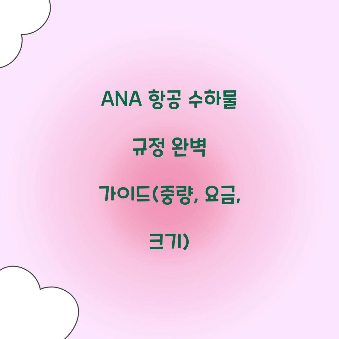 ANA 항공 수하물 규정