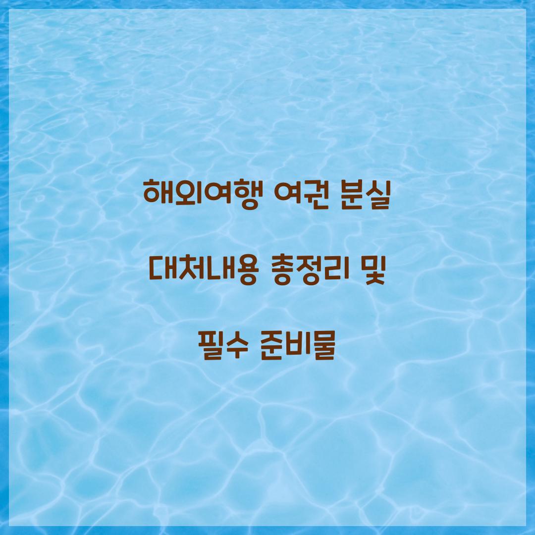 해외여행 여권 분실 대처내용