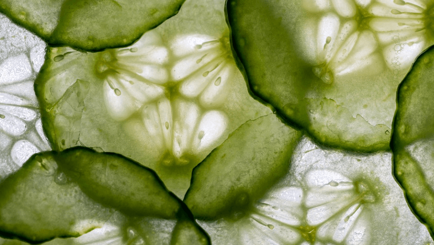 오이 효능 네 번째