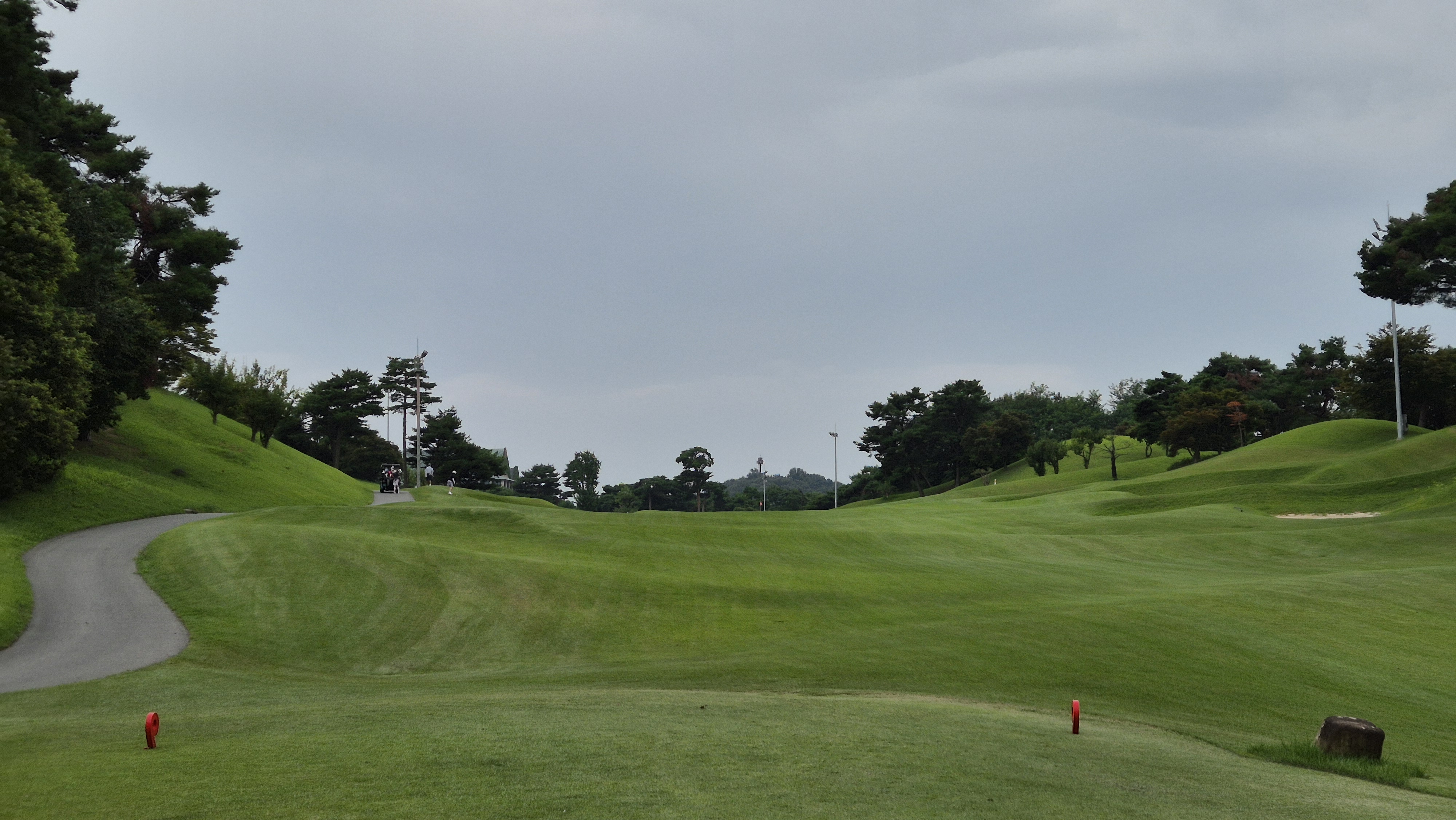 한림용인cc 다이아몬드-사파이어 코스 사진 및 공략 정보