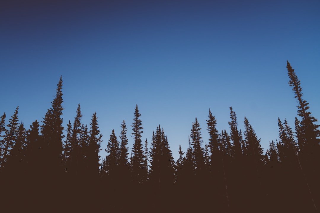 Land.