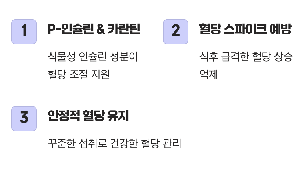 천연 인슐린&amp;#44; 혈당 조절의 파수꾼