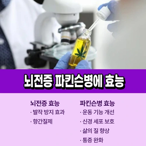 카나비노이드 효능