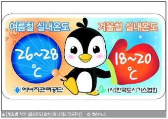 여름철 실내 습기 제거 방법 소금 숯 활용 천연 제습제 만들기 완벽 방법_10