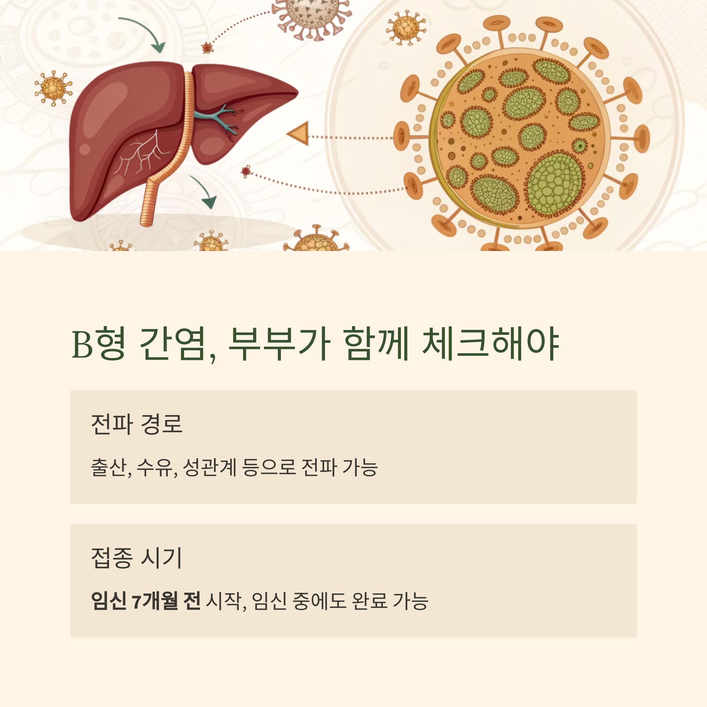 임산부 예방접종 파헤치기! 시기별 필수 백신 총정리-인포그래픽4