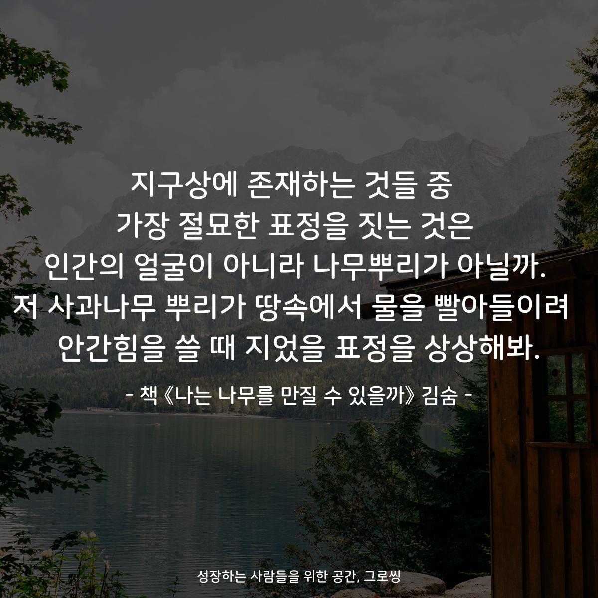 지구상에 존재하는 것들 중 
가장 절묘한 표정을 짓는 것은
인간의 얼굴이 아니라 나무뿌리가 아닐까.
저 사과나무 뿌리가 땅속에서 물을 빨아들이려 
안간힘을 쓸 때 지었을 표정을 상상해봐.
