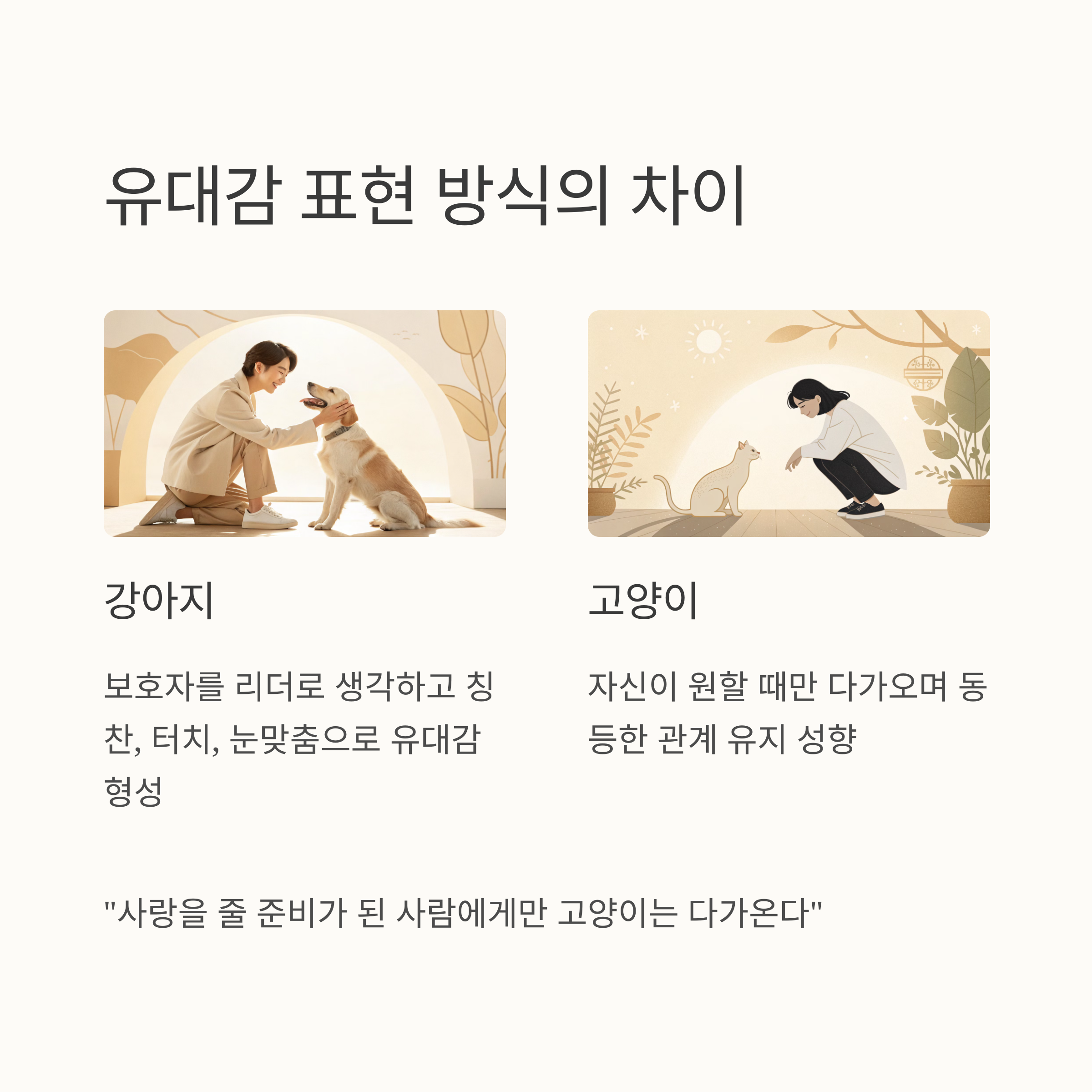 유대감 표현 방식의 차이
