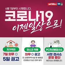 코로나검사비