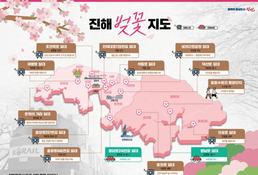 진해 벚꽃지도 9곳