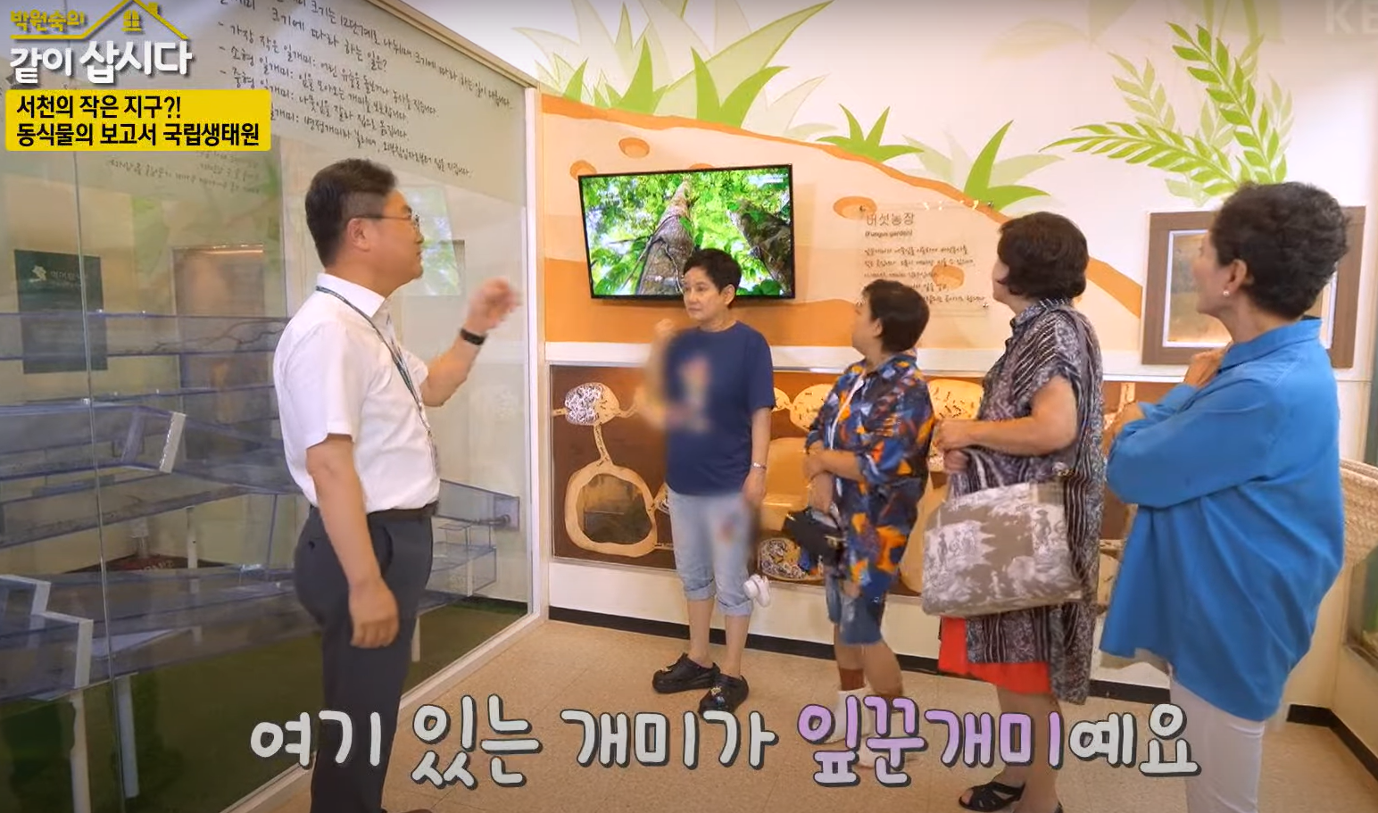 충남 서천 국립생태원 에코리움: 세계 5대 기후 체험과 주요 전시관, 백패커 방문