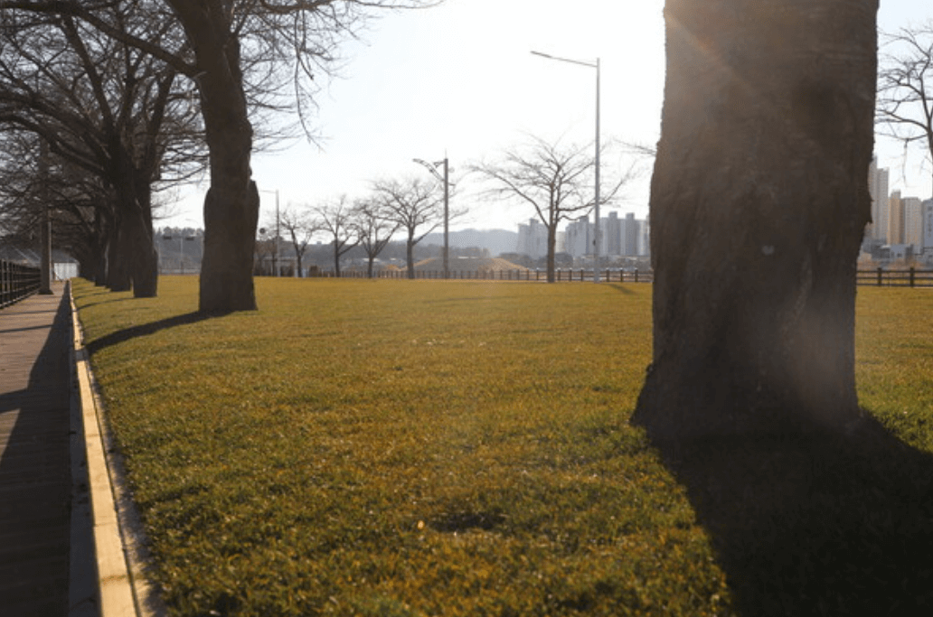 그린아일랜드소개1