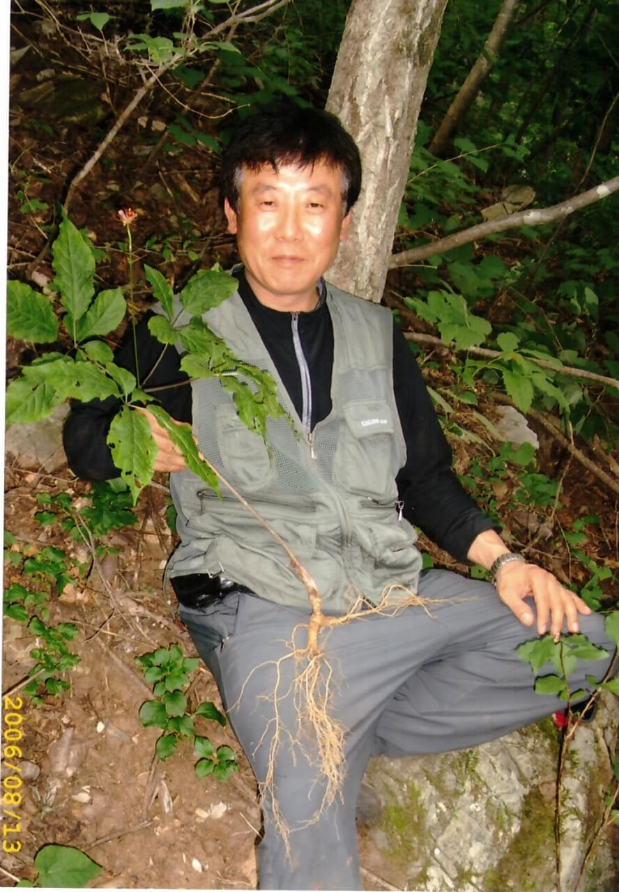 6시내고향 강원 평창 산양삼 구매방법 산삼어람