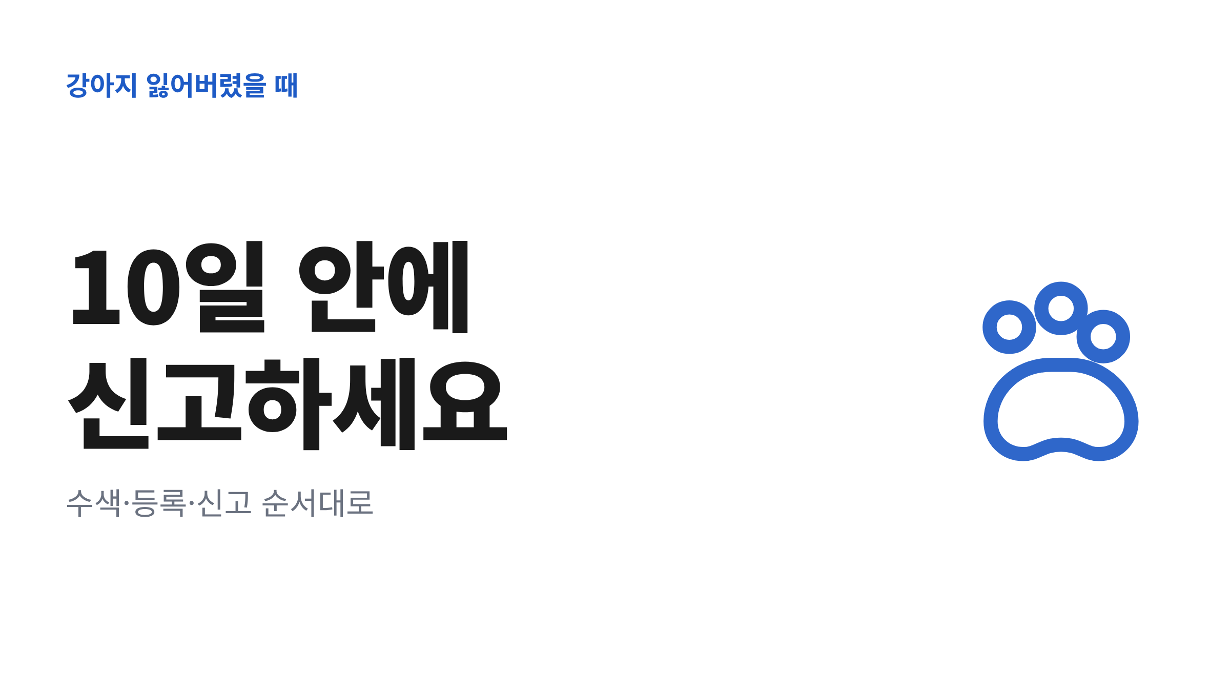 강아지 잃어버렸을때 해야 할 일과 10일 기한을 정리한 대표 이미지