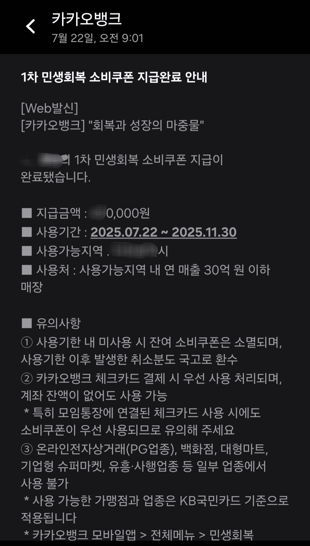 민생회복 소비쿠폰