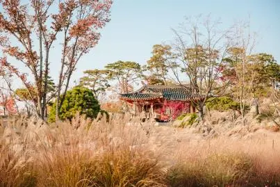 서울식물원 최초 야간 개장 보름밤의 정원 가든파티 in SEOUL 행사 소개 참여 신청 관람 방법 과학 유튜버 궤도 공연