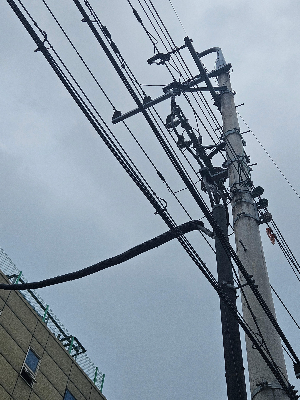 도심 속 전봇대와 시골 전봇대의 구조적 차이점