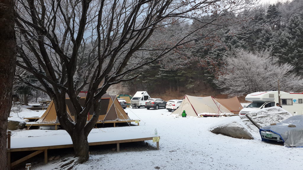 대관령 솔내음오토캠핑장 소개