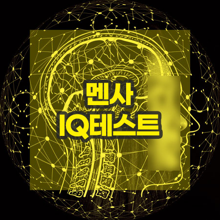 멘사 아이큐테스트