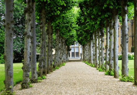 2024 조경기능사 시험일정, 응시자격(필기,실기)
