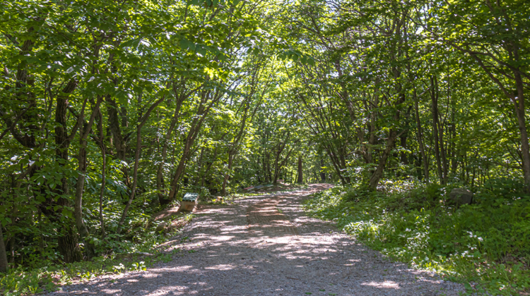 대관령 하늘목장