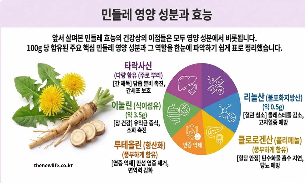 민들레 효능 영양 성분