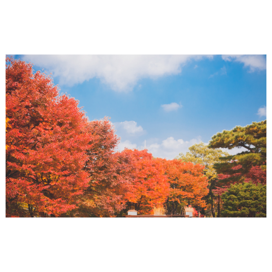 여주와 관련된 사진입니다.