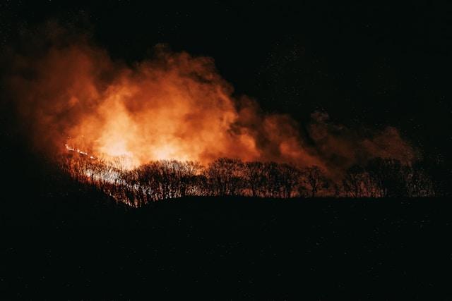 산불피해문화재