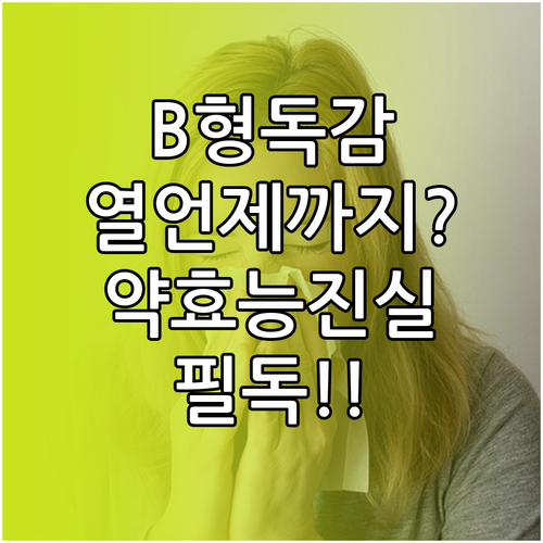 B형 독감 평균 발열 일수와 항바이러..