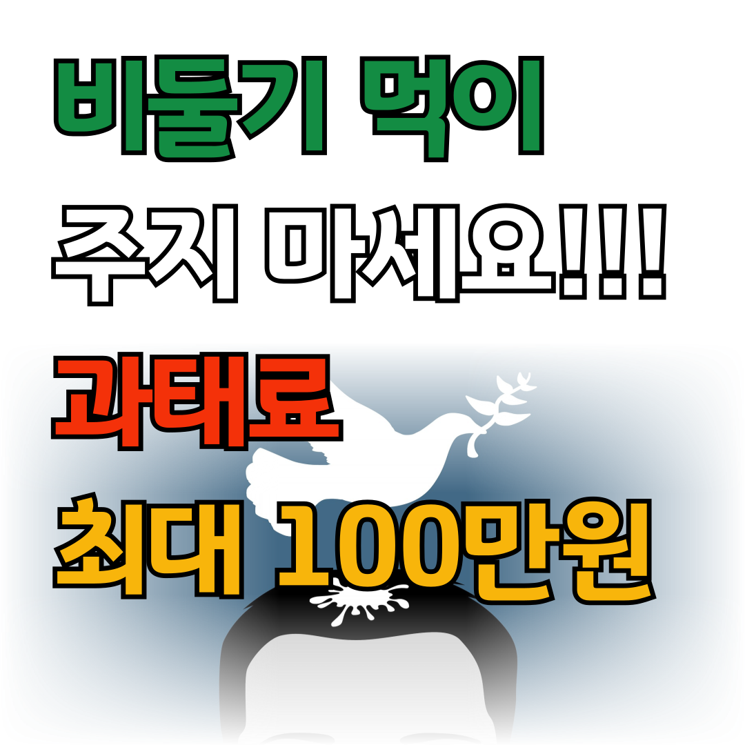 '서울 공원서 비둘기 먹이 주지 마세요' 최대 100만원 과태료