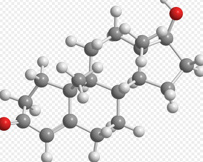 난소암의 주요 증상과 원인, 정확한 진단법과 조기 발견전략