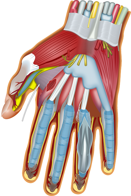 손발 저림, 손발 저림 원인, 신경 문제, 말초신경병증, 손발 저림 질환, 저림 증상, 당뇨 신경병증, 손발 저림 영양소, 저림 증상 개선, 저림에 좋은 영양제