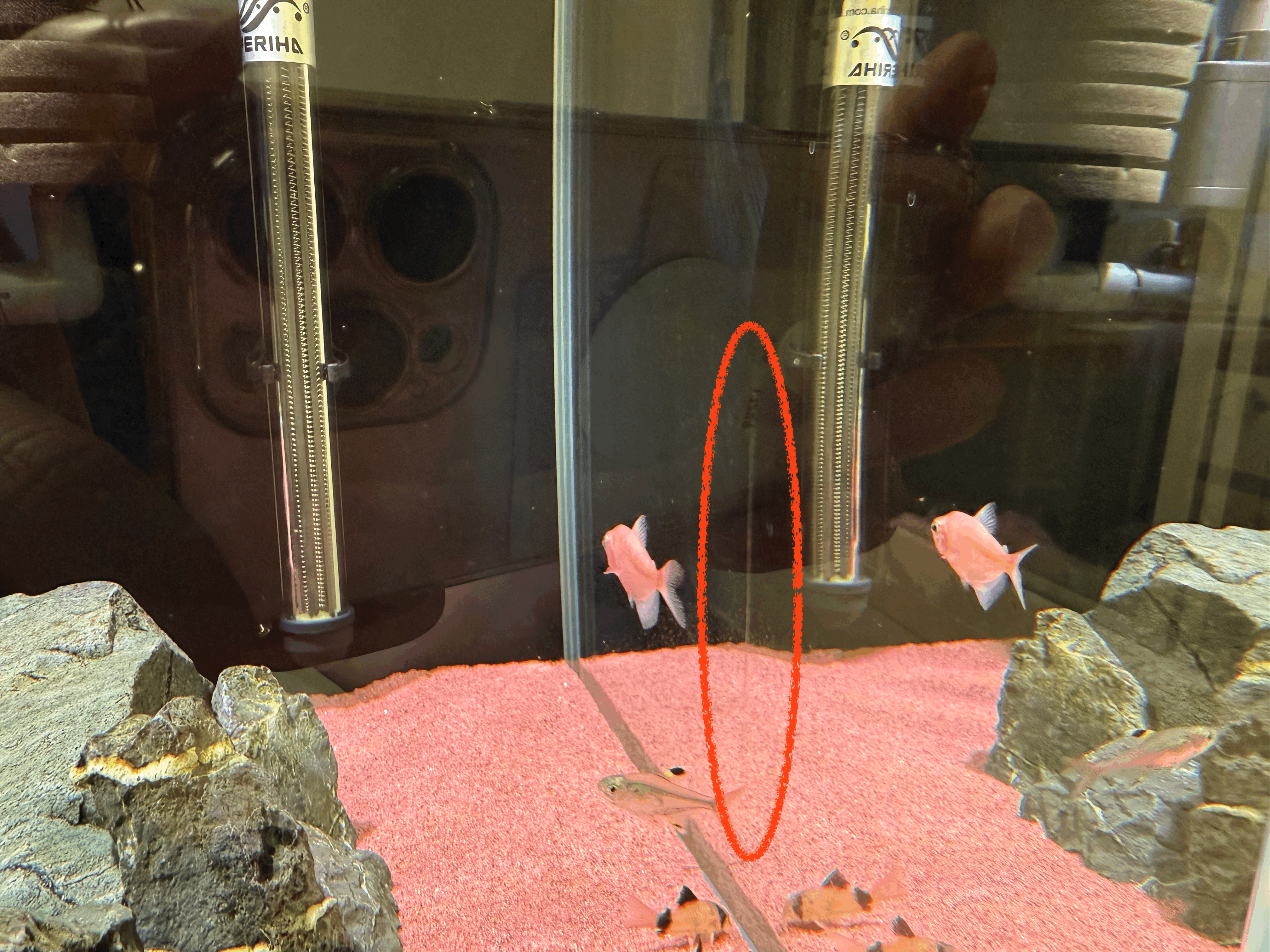 어항 유리 기스