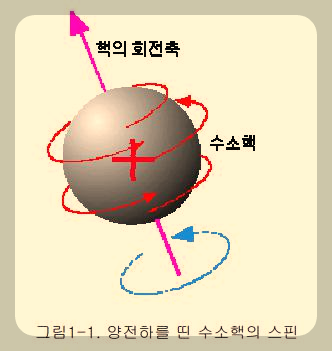 핵스핀