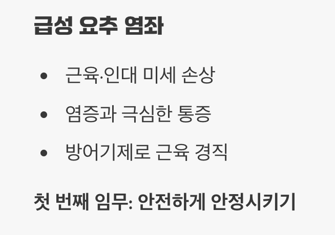 '삐끗'의 순간, 우리 허리에서는 무슨 일이?