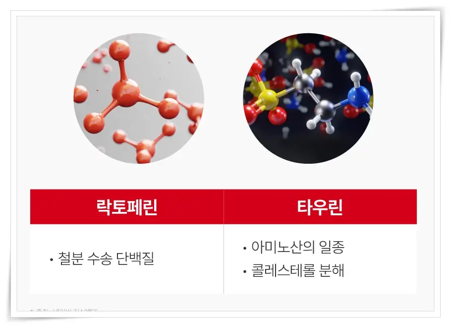 뉴티365 뉴티엠 부원료-락토페린, 타우린