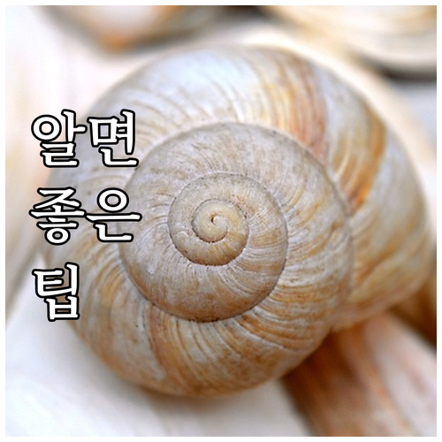 광진구 군자동 대형폐기물, 쉽고 빠르..