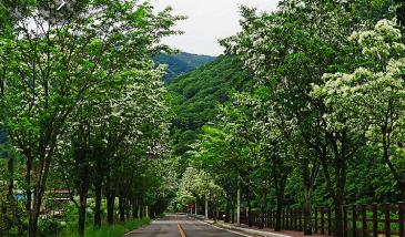 진천여행 가볼만한곳 BEST 10